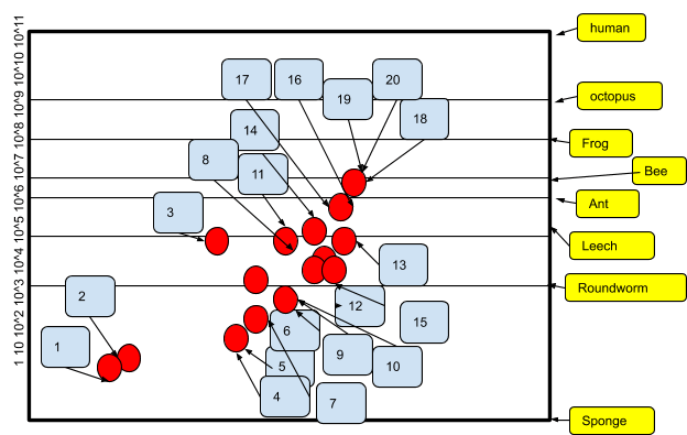 Increase of Neural Network Size